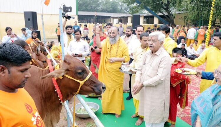Cow worship should not be done for one day, cow should be respected for 365 days: Alok Kumar