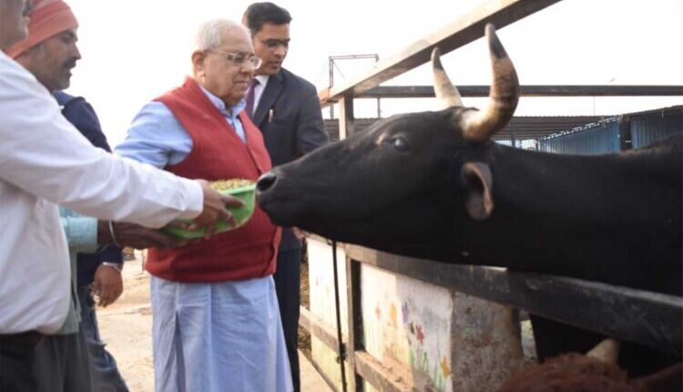सतयुग दर्शन ट्रस्ट के मार्गदर्शक श्री सजन जी, मैनेजिंग ट्रस्टी श्रीमती रेशमा गाँधी जी एवं अनुपमा तलवार जी ने देवाश्रय गौ-अस्पताल का सद्भाव पूर्ण दौरा किया, गायों को चारा इत्यादि दिया