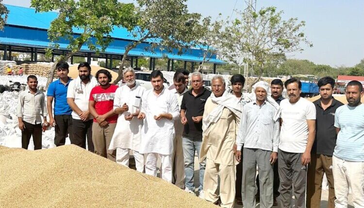 Farmers are facing hardships in Tigaon grain market during JP rule: Rohit Nagar