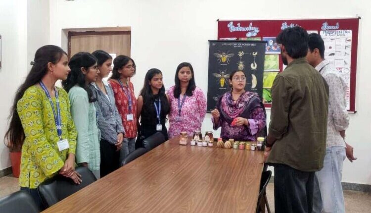Awareness program organized on World Bee Day