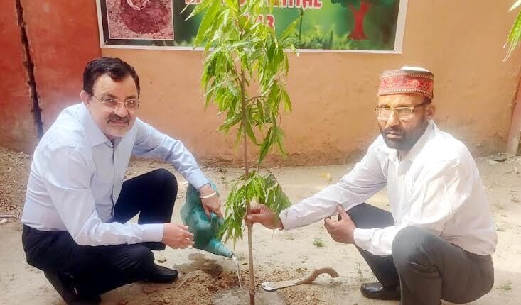 World Environment Day celebrated at IMT