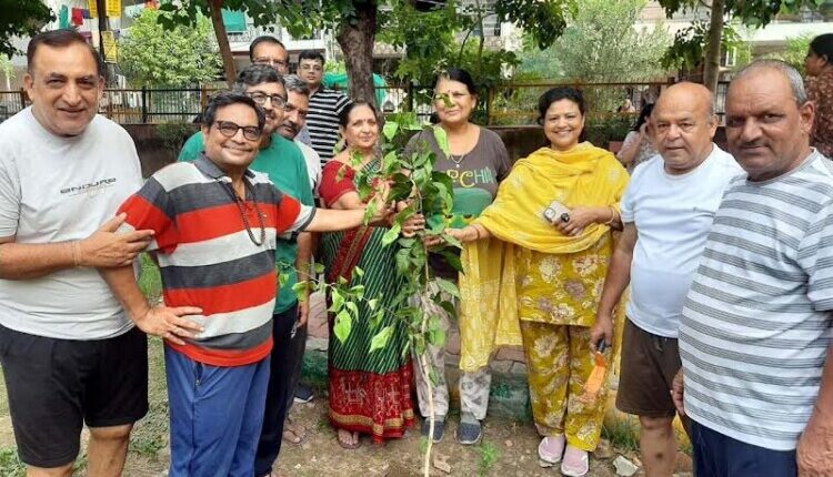 Planting trees is essential to keep the environment clean: KC Sharma