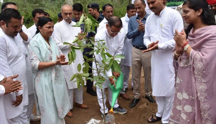 Plant more and more trees for environmental conservation: Rajesh Nagar