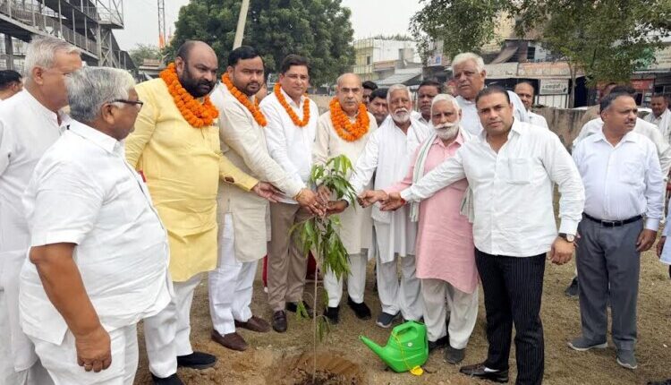 MLA Pt. Moolchand Sharma launched a cleanliness drive, conveyed a message of hygiene, and planted saplings.